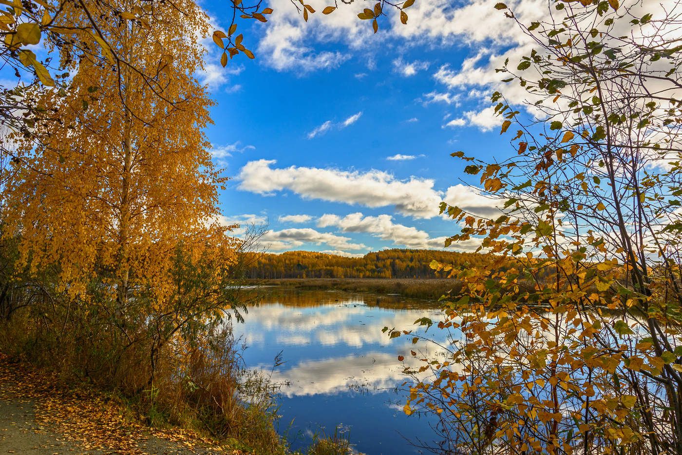 Бабье лето осенью